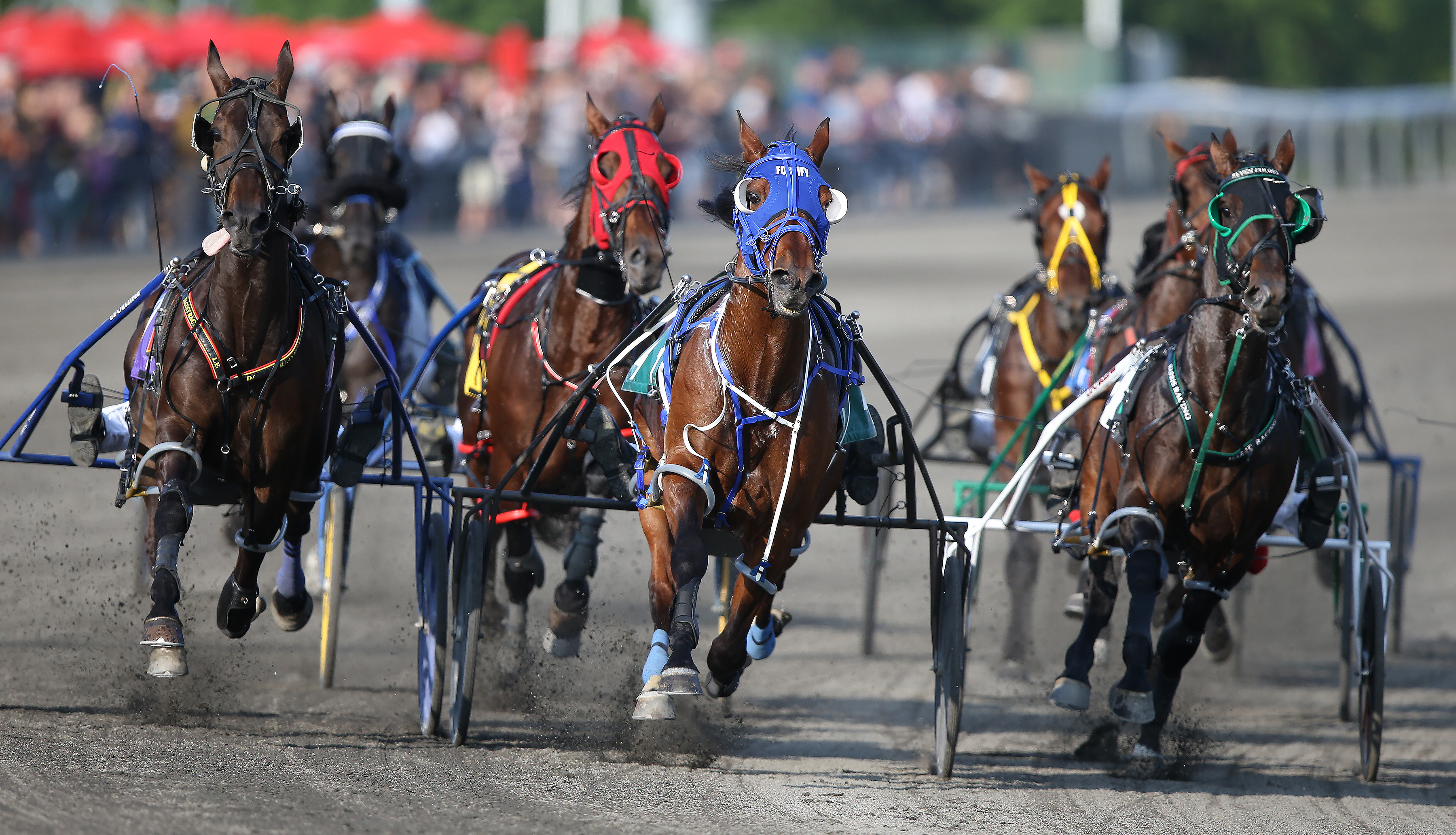 AGCO and OLG approve race dates for 10 more Ontario tracks
