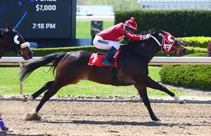 Great day for the return of Quarter Horse racing at Ajax Downs