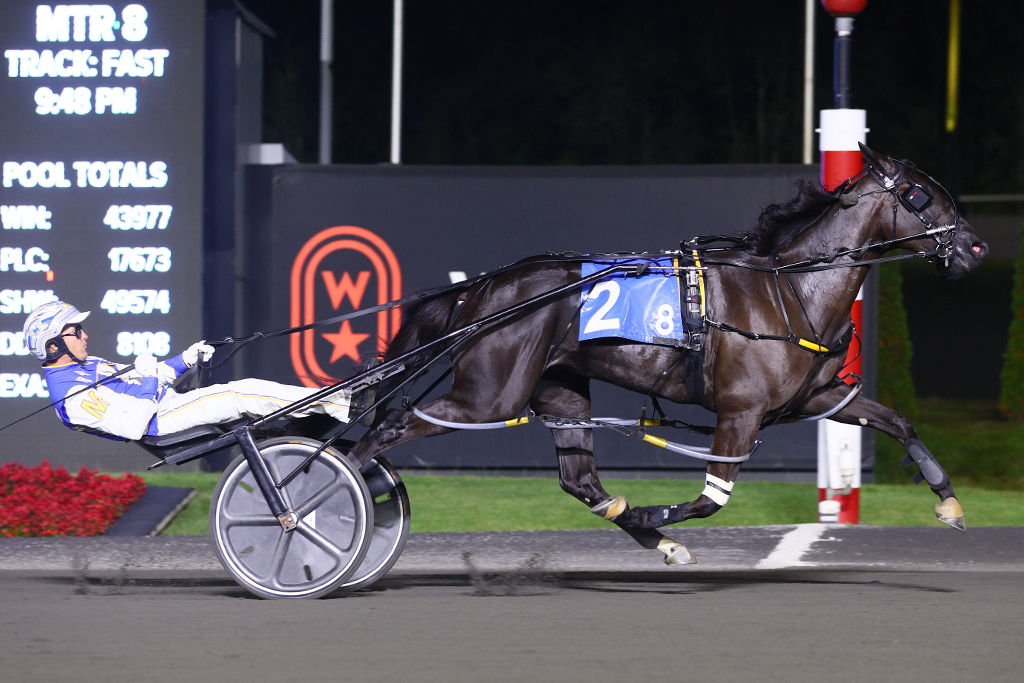 Chantilly looks to cap perfect year with another dominant performance in OSS Gold Super Finals