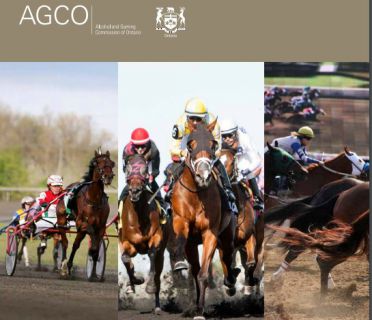 Industry Update on Strangles Case - Additional Positive