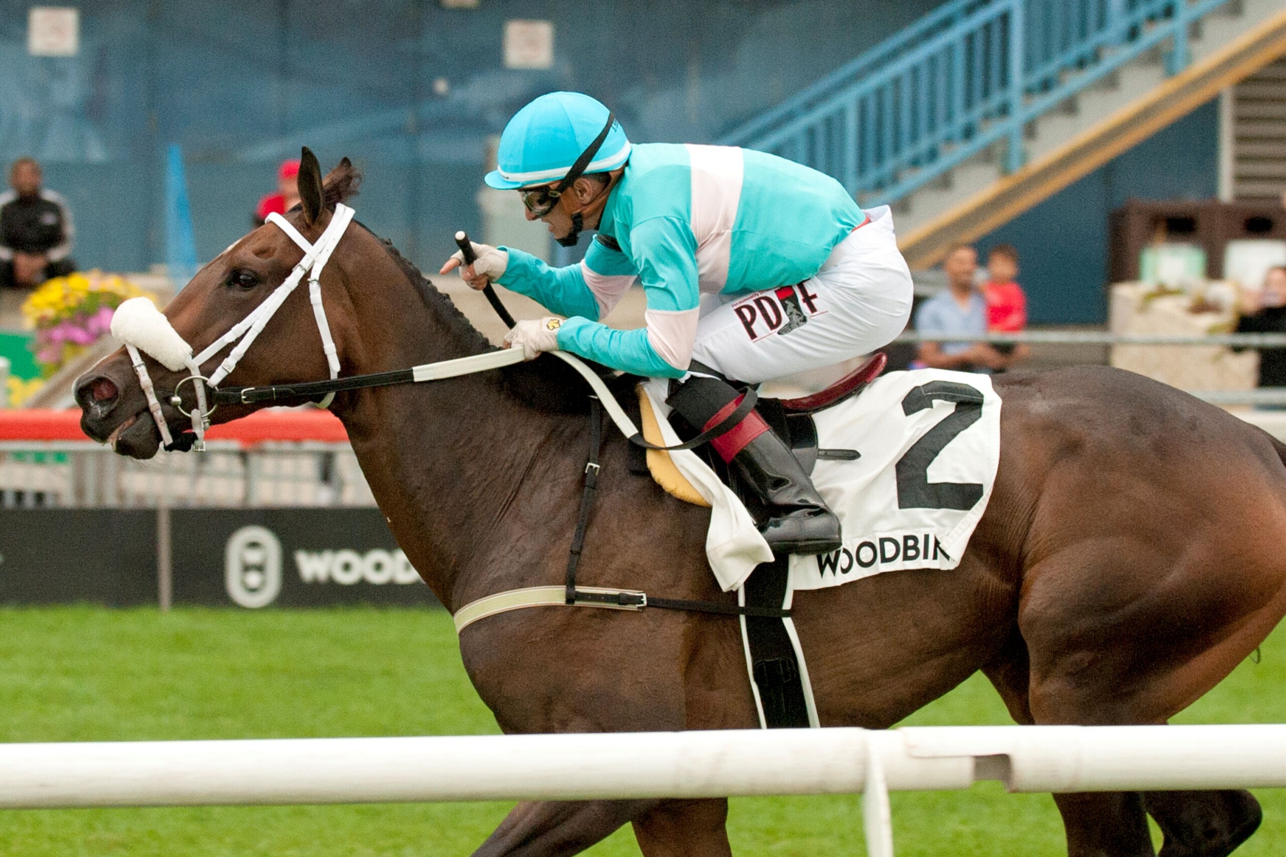 How Moira raced into the record books: Where she ranks among top Ontario Breds